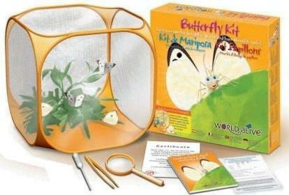 Brainstorm World Alive Butterfly Kit Labor für 5+ Jahre Jahre