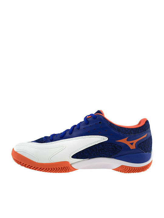 Mizuno Wave Flash Ανδρικά Παπούτσια Τένις για Χωμάτινα Γήπεδα Πολύχρωμα