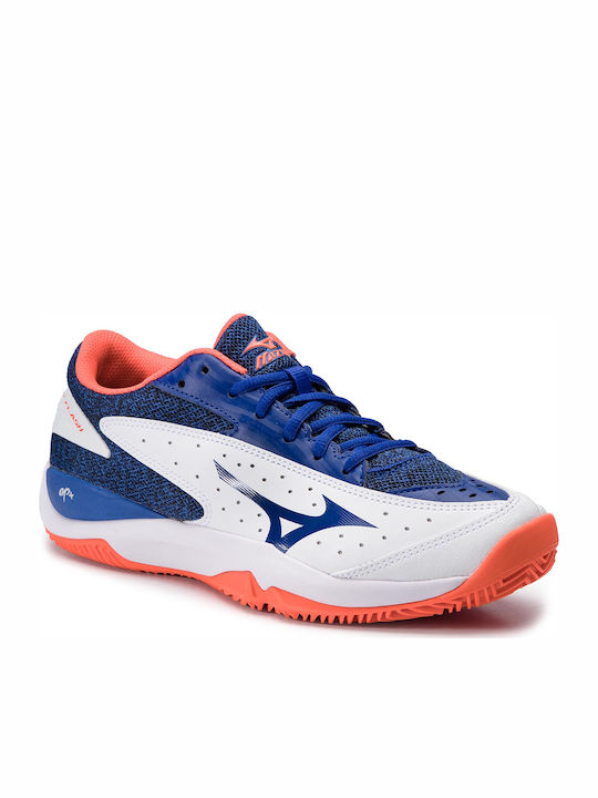 Mizuno Wave Flash Ανδρικά Παπούτσια Τένις για Χωμάτινα Γήπεδα Πολύχρωμα