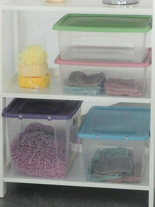 Viomes Plastic Cutie de Depozitare cu Capac Transparent 59x40x30cm 1buc