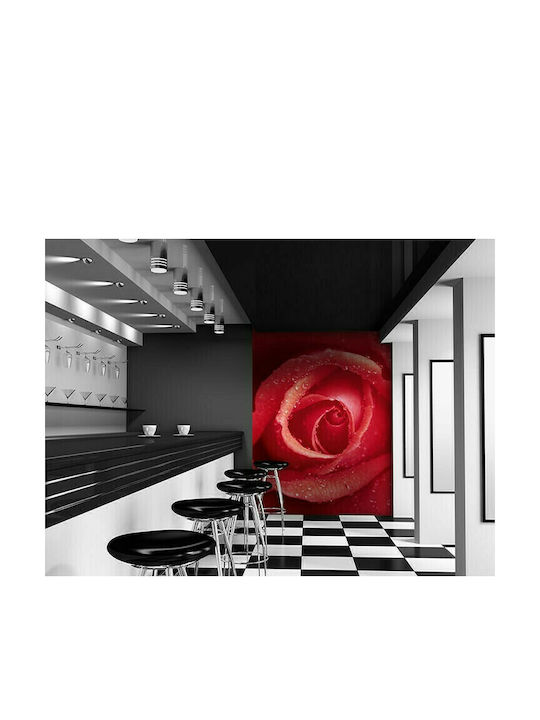 Wall Mural Rose Red L254xW183cm