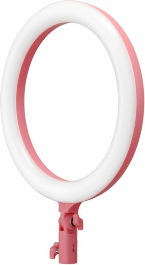 Godox LR120P Ringlicht 30cm 3000 - 6000K mit Handyhalter Pink