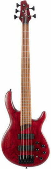 Cort 5-String Electric Bass B5 Element Open Pore Burgundy Red