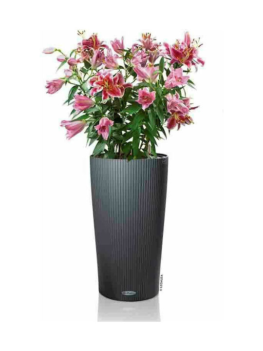 Lechuza Cilindro Self-watering Pot Plastic Slate 32x32x56cm.