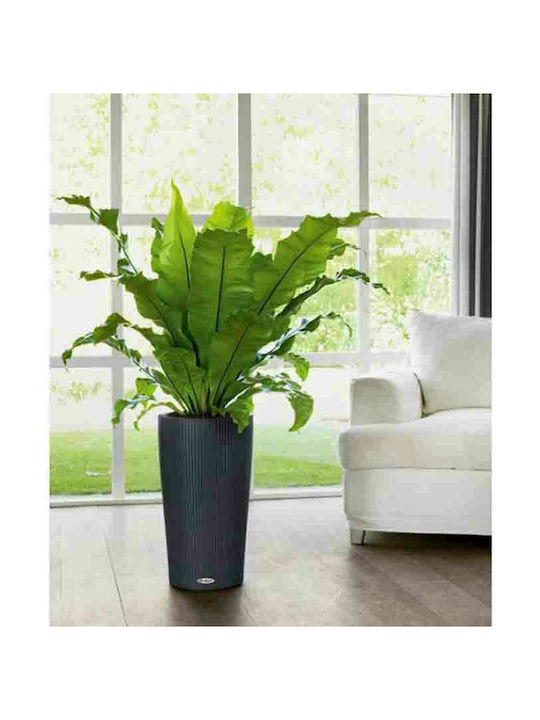 Lechuza Cilindro 32 Flower Pot Self-Watering 32x56cm Slate 13953