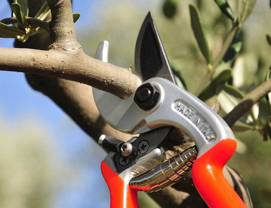 Castellari Ergonomic Pruning Shears Length 21cm with Maximum Cutting Diameter 25mm