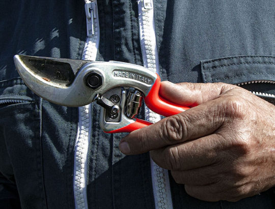Castellari Ergonomic Pruning Shears Length 21cm with Maximum Cutting Diameter 25mm