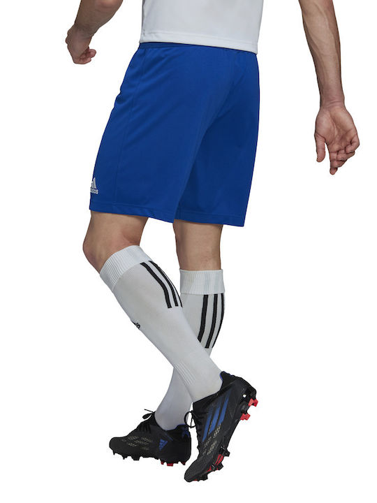 Entrada 22 Pantaloni scurți Echipament Sportiv de Fotbal Bărbătesc