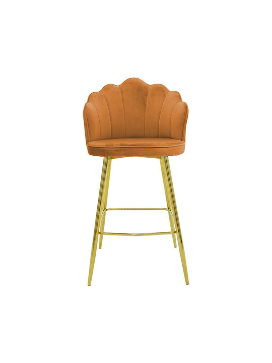 Hocker Bar mit Rückenlehne Gepolstert mit Samt Nataly Ceramic / Gold 52x51x100cm