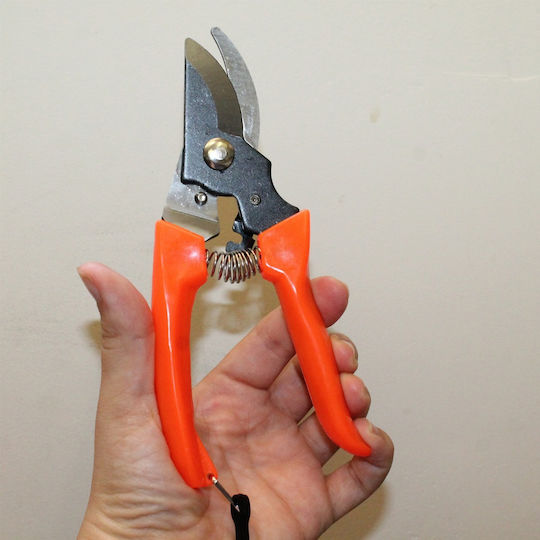 Baumschere Länge 17cm mit Maximalem Schnittdurchmesser 20mm
