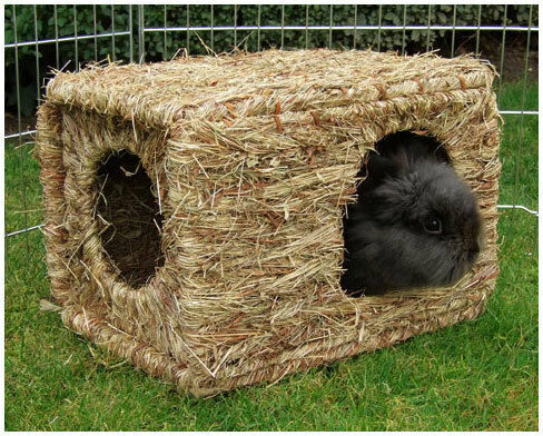 Kerbl Αξεσουάρ για Κλουβιά για Meerschweinchen / Hase / Chinchilla Grass XL 37x30x28 82789