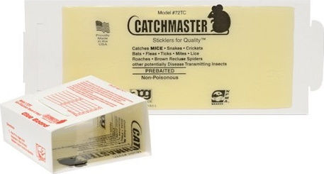 Catchmaster Glue Trap 1pcs