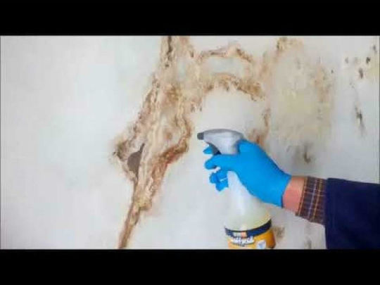 Faren Muffyxid Καθαριστικό Spray Κατά της Μούχλας 500ml
