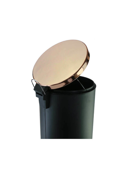 Viosarp Waste Bin Waste Metallic with Pedal Black 20lt 1pcs