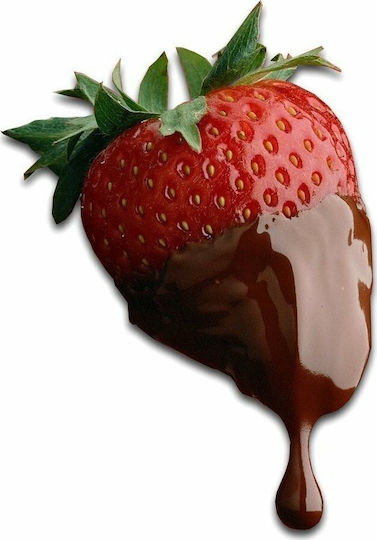 Factory Brown Chocolate Fountain with 3 Flats Mini Fondue 65W 14.5x14.5x21.5cm