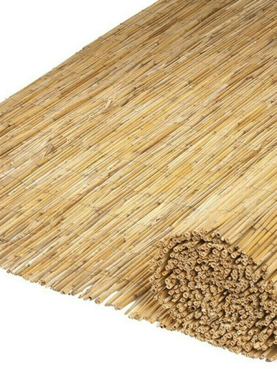 Showood Bamboo Fencing with Whole Reed 2x3m