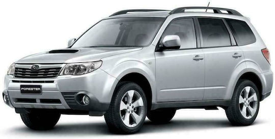 Αριστερό Πίσω Φανάρι για Subaru Forester