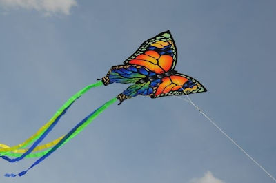 Gunther Folding Fabric Kite with Tail, Twine & Storage Bag 95x63cm