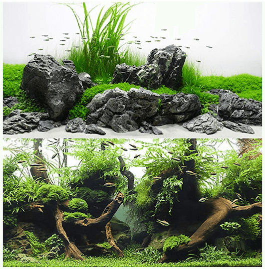 Wave Double Background Amazonia Blister Aquarium Decoration Poster