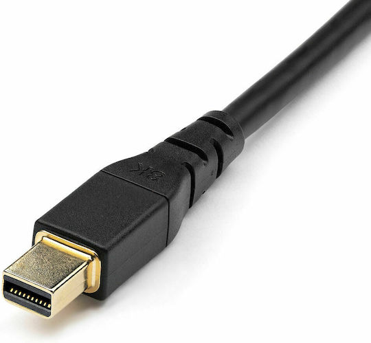 StarTech Cable DisplayPort male - mini DisplayPort male 2m Μαύρο (DP14MDPMM2MB)