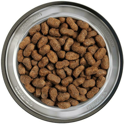 Belcando Puppy GF Poultry 1kg Ξηρά Τροφή χωρίς Σιτηρά για Κουτάβια με Πουλερικά