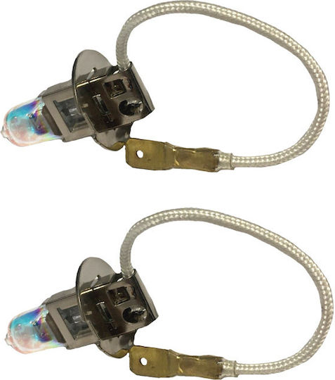 Carner Λάμπες Αυτοκινήτου TR-9102B H3 Αλογόνου 5200K Ψυχρό Λευκό 12V 55W 2τμχ