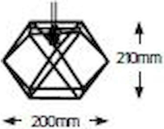 Geyer Iron Κρεμαστό Φωτιστικό Ροζ Χρυσό 20x21εκ. Geyer Iron Κρεμαστό Φωτιστικό Ροζ Χρυσό 20x21εκ.