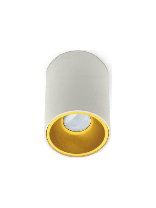 Geyer Single Spot with Socket GU10 in White Color