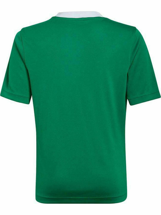 Tricou pentru copii Verde Entrada 22