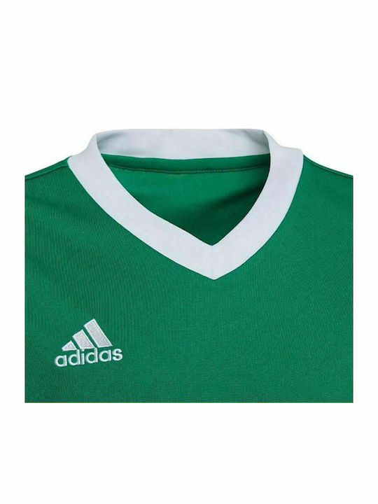 Tricou pentru copii Verde Entrada 22