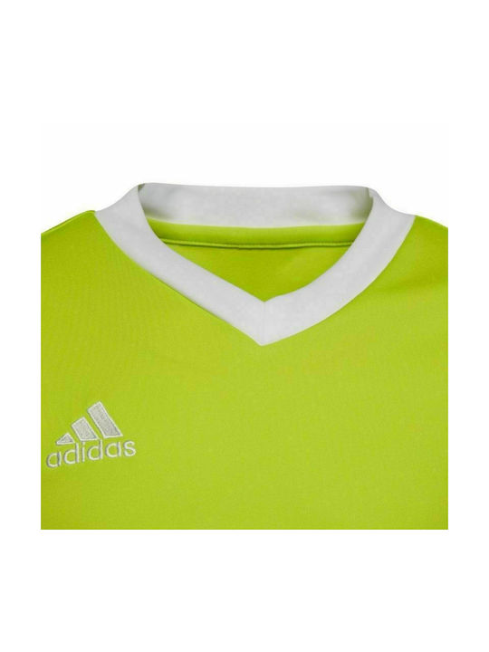 Adidas Kids T-shirt Green