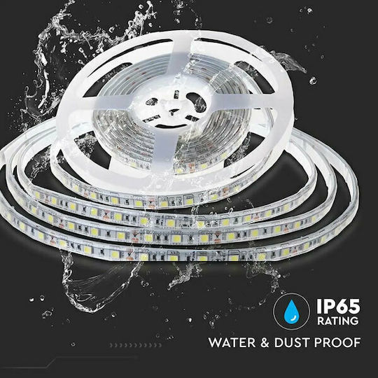 V-TAC Αδιάβροχη Ταινία LED 24V Ψυχρό Λευκό Φως 10m Τύπου SMD2835