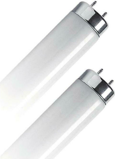 Geyer Leuchtstofflampe für Fassung G13 mit Form T8 30W
