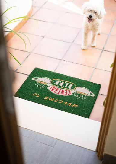 Grupo Erik Entrance Mat made of Coir with Anti-slip Backing Friends Central Perk Green 40x60cm
