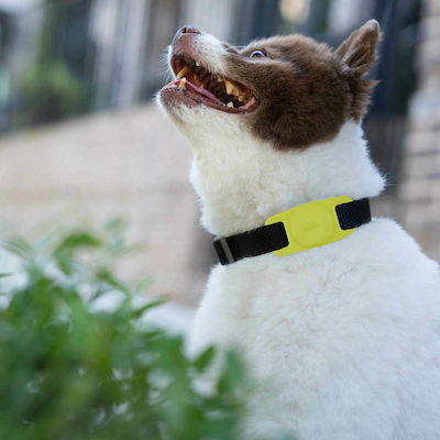 Case-Mate Dog Θήκη Κολάρου Κατοικιδίων Σιλικόνης για AirTag Neon
