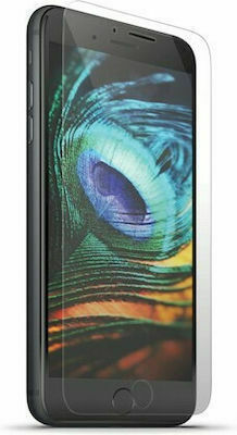 Forever Tempered Glass (Galaxy S20 FE)