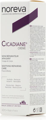 Noreva Cicadiane Moisturizing Cream Restoring with Hyaluronic Acid for Sensitive Skin 40ml