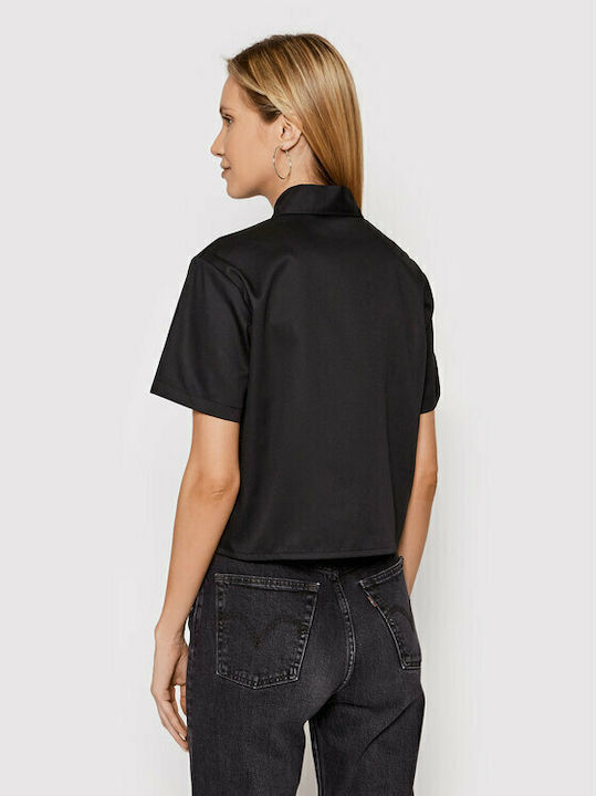 Dickies Dickies