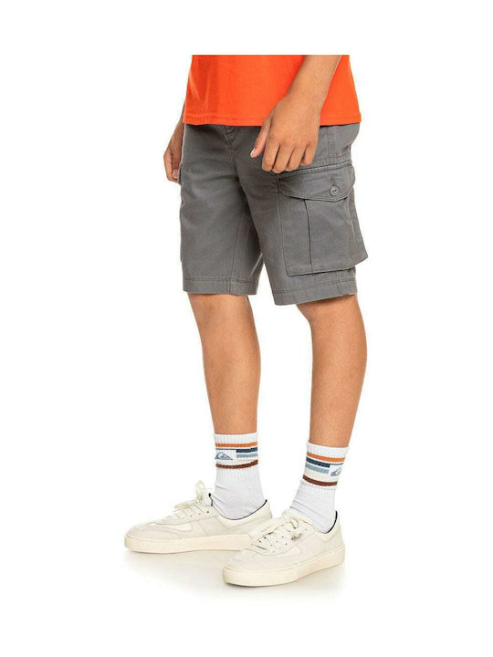 Quiksilver Kids Shorts/Bermuda Fabric Gray