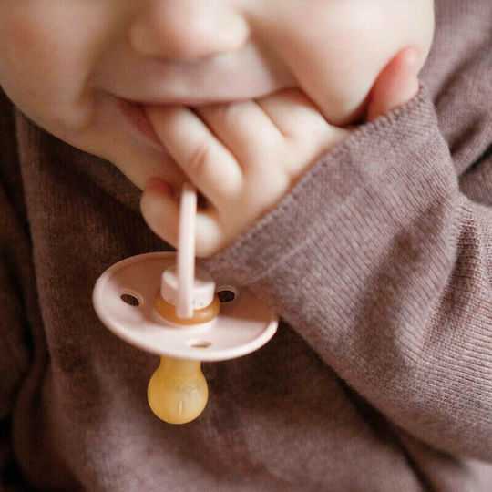 Bibs Colour Pacifiers Rubber Woodchuck / Blush for 0-6 months 2pcs