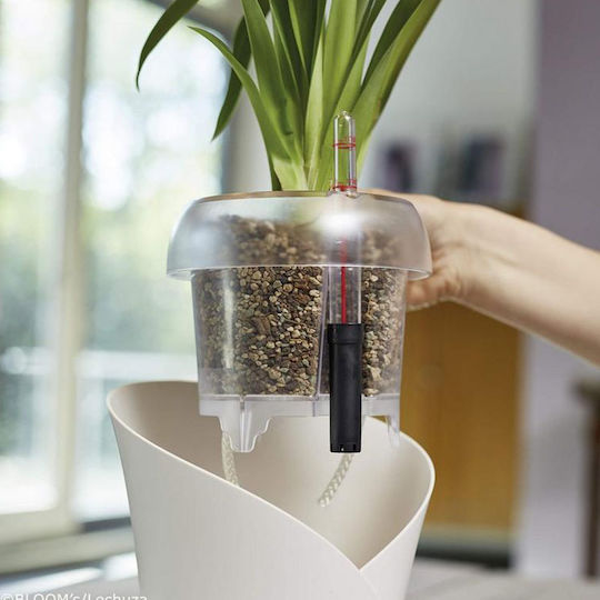 Planting Substrate Orchidpon Potting Soil for Orchids 3lt 19580