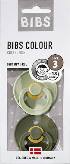 Bibs Πιπίλες Καουτσούκ για 18+ μηνών Colour Sage / Hunter 2τμχ