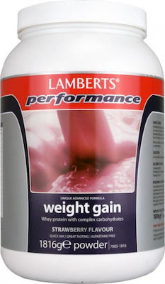 Lamberts Performance Weight Gain Molkenprotein mit Geschmack Strawberry 1.816kg