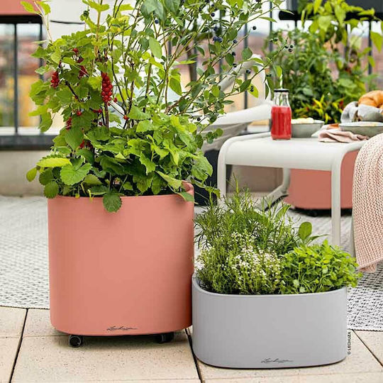 Lechuza Pila Stick Αυτοποτιζόμενη Ζαρντινιέρα Πλαστική Light Grey 35x35x16.6εκ.