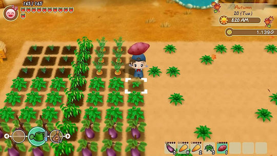 Story Seasons Friends of Mineral Town PS4 Game