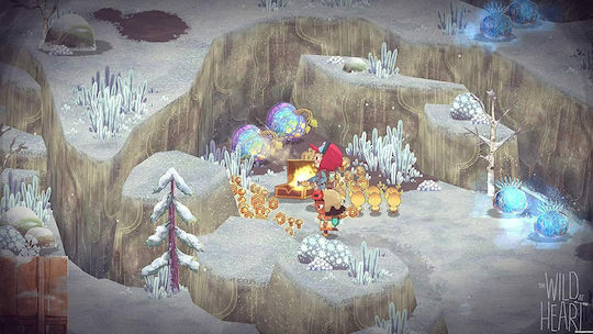 The Wild At Heart PS4 Game