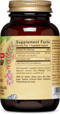 Solgar Olive Leaf Extract 60 capsule veget