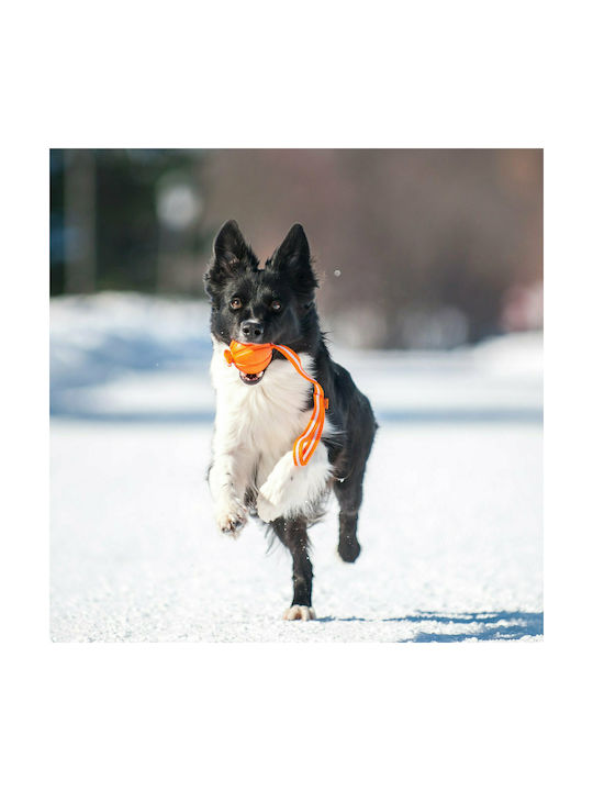 Liker Line Seilspielzeug Hund Groß 35εκ. Orange 1Stück