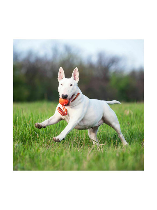 Liker Line Seilspielzeug Hund Groß 35εκ. Orange 1Stück
