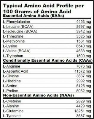 Biotech USA Mega Amino 3200 6400mg 300 Registerkarten